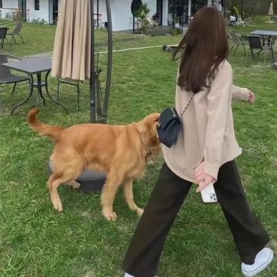 杜拉拉追婚记