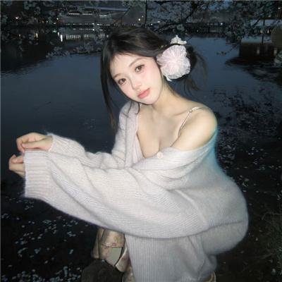 飞燕金枪